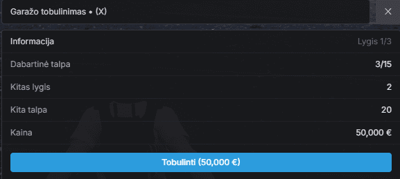 Garažo tobulinimas 1